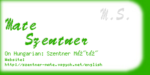 mate szentner business card